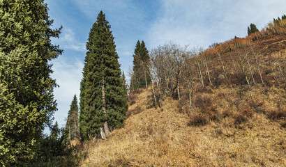 landscape of the mountains