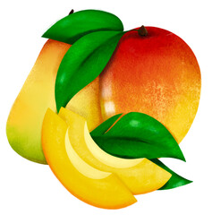 Mango fruit illustration