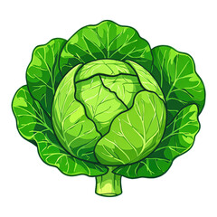 Bright Green Cabbage Head with Transparent Background, Flat Design Illustration for Web Design