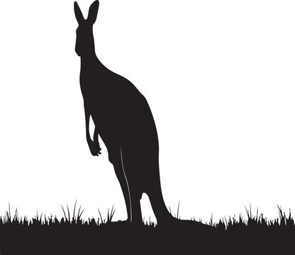 Simple black kangaroo silhouette icon for design