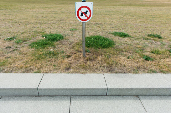 No Dogs Allowed