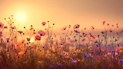 Fotobehang Zonsondergang A vibrant sunset bathes a wildflower field in golden light, creating a dreamy scene  © RaneshaSky