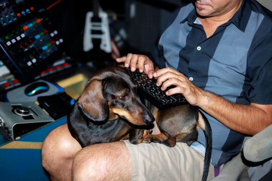 Music producer working on keyboard with dachshund dog in home studio