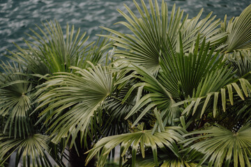 Lugano, Tessin, Schweiz, Architektur, Stadtarchitektur, Altstadt, Moderne Architektur, Fassaden