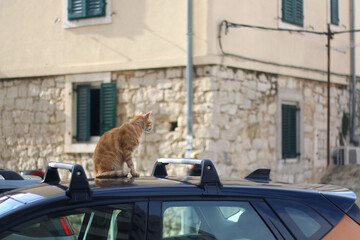 Traditional Mediterranean architecture in Split, Croatia.