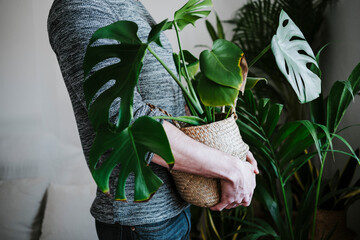 Young man holding Monstera plant in wicker while standing at home