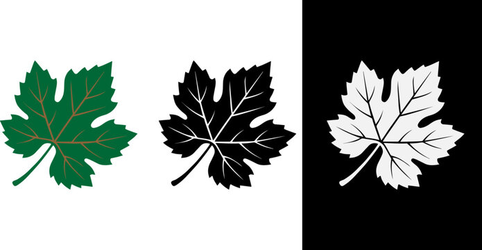 Vector Illustration of a Single Grapevine Leaf in Colorful Black and White Design