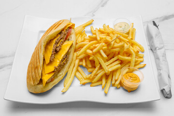 Sandwich americain sur une assiette avec des frites et sauces. Spécialité culinaire turque. Restauration rapide.	 Doner kebab