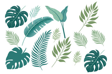 Leaf Background Vector sets