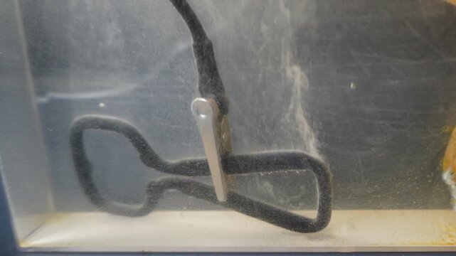 Metal bottle opener in electrolytic bath cleans rust in time-lapse motion.