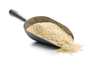 Roasted sesame seeds on scoop isolated on white background.