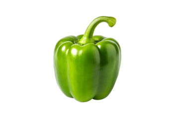 A single fresh green bell pepper with a curved stem isolated on transparent background