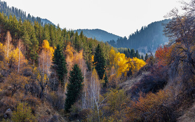 autumn landscape in the mountains