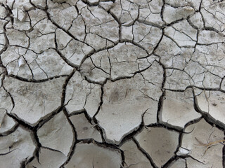 Dry, cracked earth, a symbol of drought and climate change