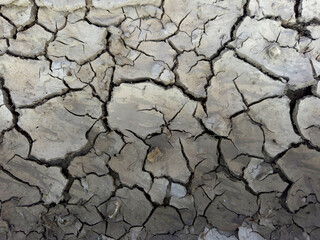 Dry, cracked earth, a symbol of drought and climate change