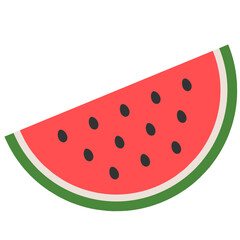 watermelon slice vector illustration