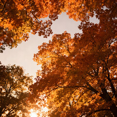 autumn tree in the sun