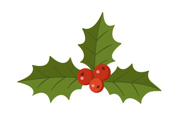 Holly branch with green leaves and red berries. Hand drawn trendy flat style isolated. Perfect for Christmas cards, winter decor, invitations, and festive designs. Vector illustration