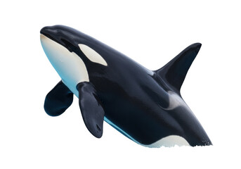 Isolated orca swimming surfacing, killer whale marine mammal, ocean animal wildlife