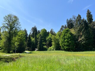 Obraz premium Horticultural monument arboretum Opeka (Croatia) - Das Arboretum Opeka oder Pflanzensammlung im Park von Schloss Opeka (Kroatien) - Hortikulturni spomenik arboretum Opeka (Vinica, Hrvatska)
