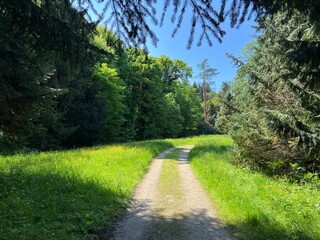 Horticultural monument arboretum Opeka (Croatia) - Das Arboretum Opeka oder Pflanzensammlung im Park von Schloss Opeka (Kroatien) - Hortikulturni spomenik arboretum Opeka (Vinica, Hrvatska)