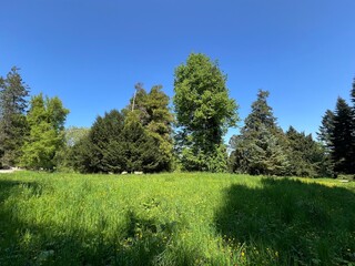 Horticultural monument arboretum Opeka (Croatia) - Das Arboretum Opeka oder Pflanzensammlung im Park von Schloss Opeka (Kroatien) - Hortikulturni spomenik arboretum Opeka (Vinica, Hrvatska)