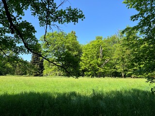 Horticultural monument arboretum Opeka (Croatia) - Das Arboretum Opeka oder Pflanzensammlung im Park von Schloss Opeka (Kroatien) - Hortikulturni spomenik arboretum Opeka (Vinica, Hrvatska)