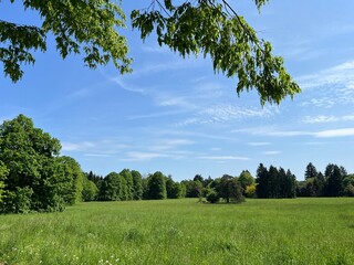 Obraz premium Horticultural monument arboretum Opeka (Croatia) - Das Arboretum Opeka oder Pflanzensammlung im Park von Schloss Opeka (Kroatien) - Hortikulturni spomenik arboretum Opeka (Vinica, Hrvatska)