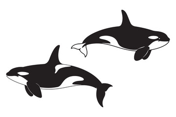 Obraz premium Orca Whale Silhouette Vector Set – Killer Whale Marine Animal Illustration