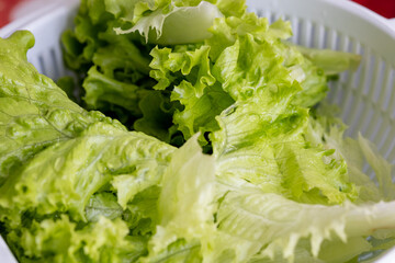 green salad with lettuce