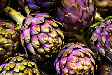 Fresh Artichoke Heads Arranged Beautifully, Showcasing Their Unique Shapes and Colors