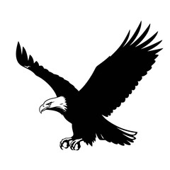 Obraz premium Silhouette of a majestic bald eagle soaring with outstretched wings, captured in flight.