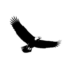 A black silhouette of a majestic bald eagle soaring with its wings spread wide against a white background.
