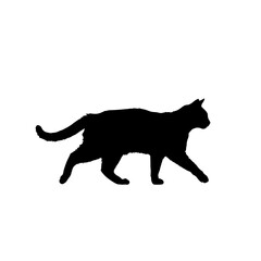 Silhouette of a black cat walking, showcasing its sleek form and graceful movement against a white background.