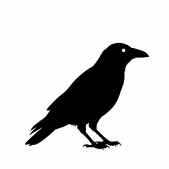 A stark black silhouette of a crow with bright white eyes stands against a plain white background.