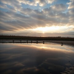 Tranquil Sunset Over Calm Water with Reflections and Cloudy Sky