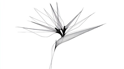 Abstract bird of paradise flower design