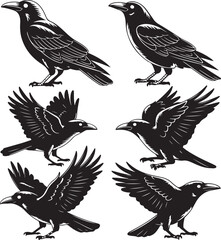 Naklejka premium Raven Poses Silhouette Set Vector Illustration Representing Mysterious Bird and Wildlife Art