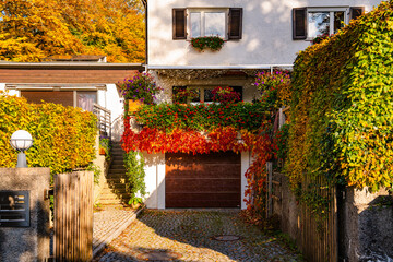 Fototapete bei efototapeten.de bestellen   