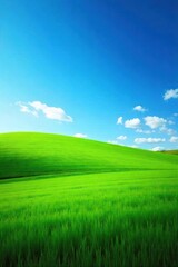 Fototapeta premium Serene Green Field Reaching Vibrant Blue Sky New Beginnings, Hope, and Renewal