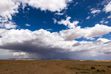 Rain from white cumulus clouds in the desert