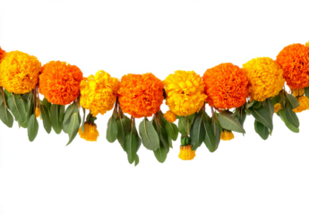 marigold flower garland for diwali decoration, isolated on a transparent background