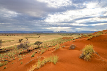 Red sand dune green grass and blue clouds