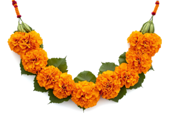 marigold flower garland for diwali decoration, isolated on a transparent background
