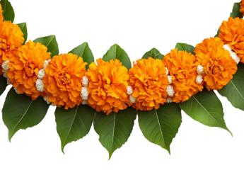 marigold flower garland for diwali decoration, isolated on a transparent background