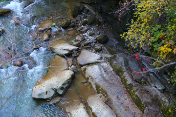Autumn riverbed with flowing water and vibrant foliage from above