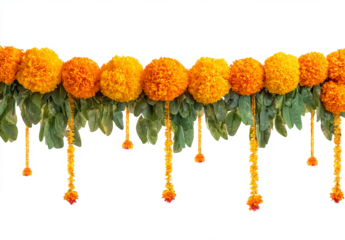marigold flower garland for diwali decoration, isolated on a transparent background