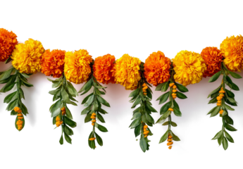 marigold flower garland for diwali decoration, isolated on a transparent background