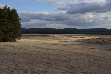 pustynia błędowska , olkusz © rob