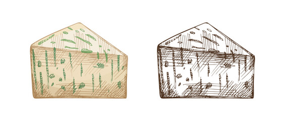 Obraz premium Hand drawn vintage sketch set of herb infused green cheese wedge in color and monochrome versions, detailed dairy food illustration, isolated vector design